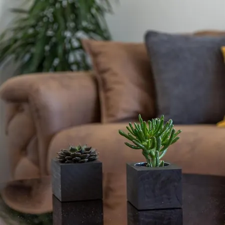 Apartment Pleasure *