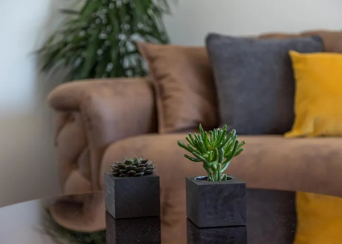 Apartament Pleasure *